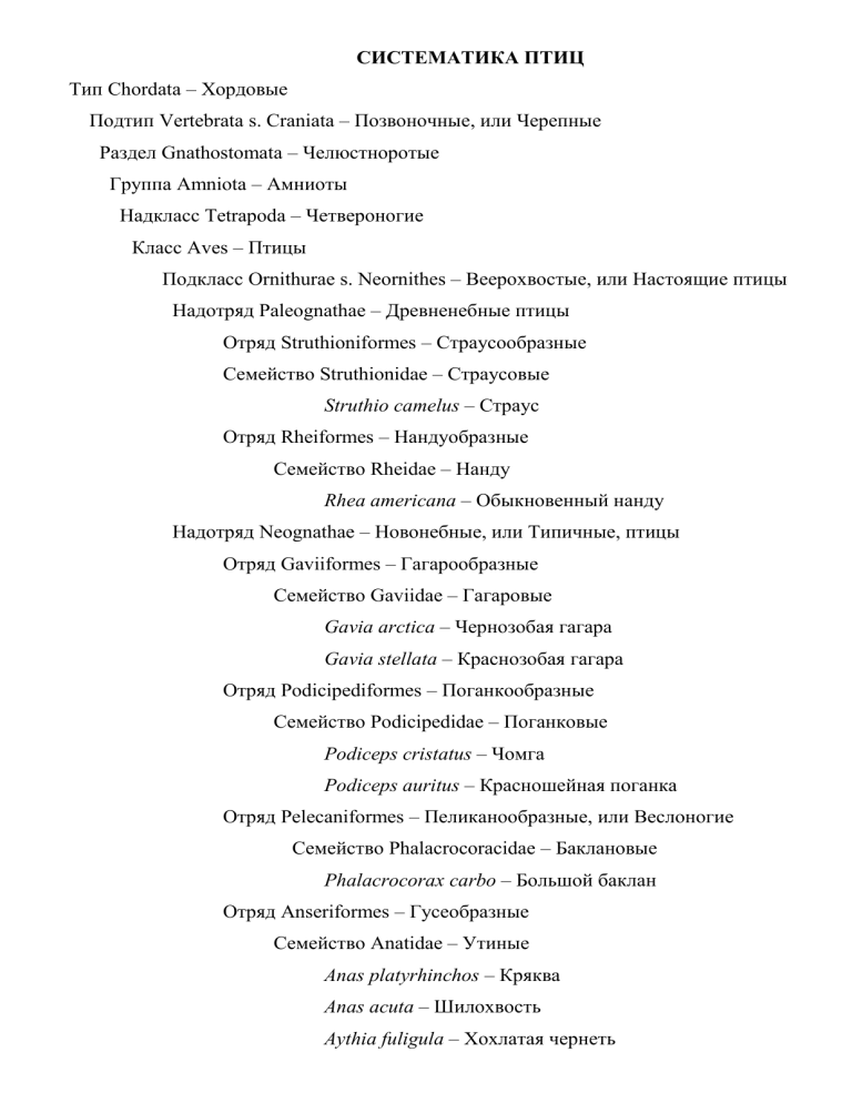 ЭКОЛОГИ Систематика Птицы