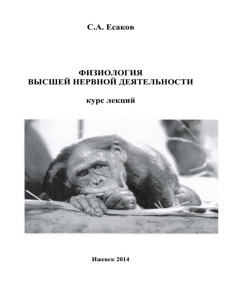 Физиология высшей нервной деятельности: курс лекций