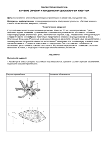 Лабораторная работа: Строение одноклеточных животных