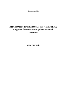Анатомия и физиология человека: Курс лекций