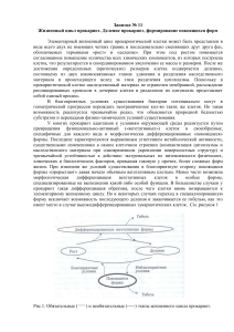 Жизненный цикл прокариот: деление и покоящиеся формы