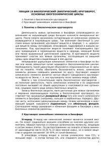 Биологический круговорот: лекция по биогеохимическим циклам