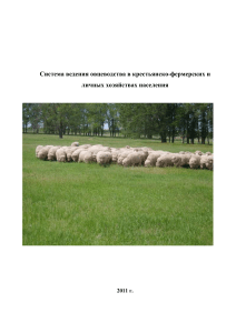 Овцеводство: разведение и селекция в КФХ