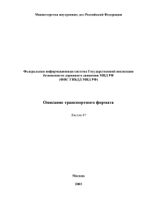 ФИС ГИБДД: Описание транспортного формата