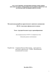 Артерии большого круга кровообращения: Методическая разработка