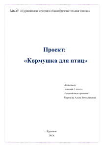 Проект: Кормушка для птиц (1 класс)