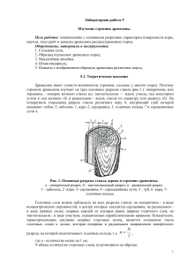 Строение древесины: лабораторная работа