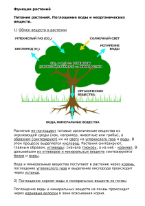 Питание растений: фотосинтез, дыхание, поглощение