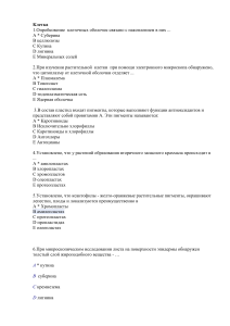 Контрольная работа по цитологии и гистологии растений