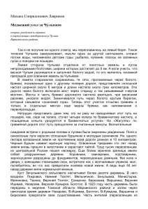 Медвежий угол за Чулымом: Очерки о переселенцах