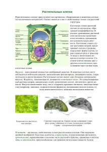 Растительные клетки и ткани: строение и функции