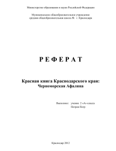 Красная книга: Черноморская Афалина. Реферат 2 класс