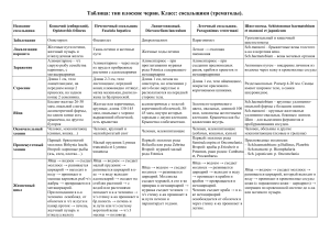 Плоские и круглые черви: таблица по паразитологии