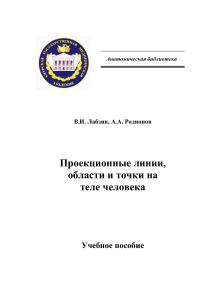 Проекционные линии, области и точки на теле человека
