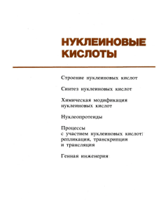 Нуклеиновые кислоты: строение, синтез, генная инженерия