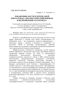 Добавочные кости в черепе ежей: диагностика и патогенез