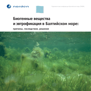 Эвтрофикация Балтийского моря: причины, последствия, решения