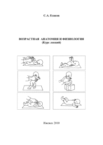 Возрастная анатомия и физиология: Курс лекций