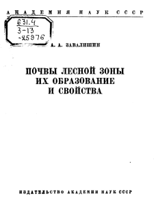 Почвы лесной зоны: образование и свойства