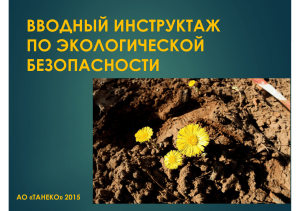 Вводный инструктаж по экологической безопасности АО «ТАНЕКО»