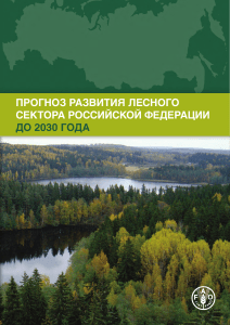 Russian Forest Sector Development Forecast to 2030
