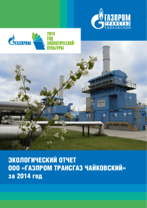 Экологический отчет Газпром трансгаз Чайковский 2014