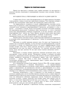 Задачи по генетике кошек: окрас и мутации