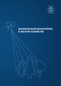 Космический мониторинг в лесном хозяйстве