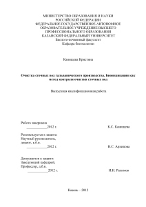 Очистка сточных вод: биоиндикация как метод контроля
