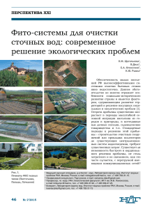 Фито-системы для очистки сточных вод: экологическое решение