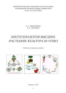 Биотехнология высших растений: Культура in vitro