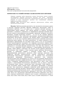 Морфогенез растений и биологическое время