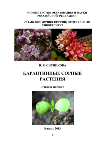 Карантинные сорные растения: учебное пособие