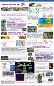 Микробиология: роль микроорганизмов в жизни человека