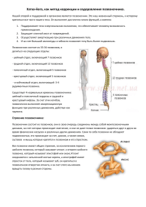 Хатха-йога для здоровья позвоночника: коррекция и оздоровление