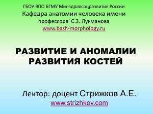 Развитие и аномалии развития костей