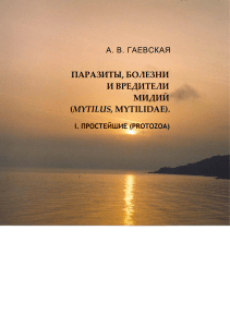 Паразиты мидий: простейшие (Protozoa). Монография