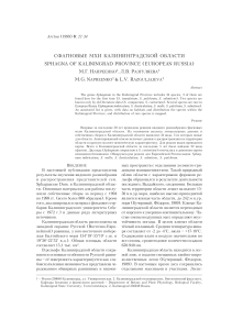 Сфагновые мхи Калининградской области: обзор видов