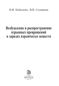 Взрывные превращения в зарядах взрывчатых веществ