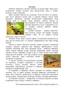 Контрольная работа: Лягушки
