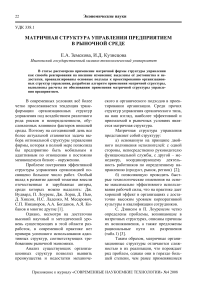 Матричная структура управления предприятием в рыночной среде