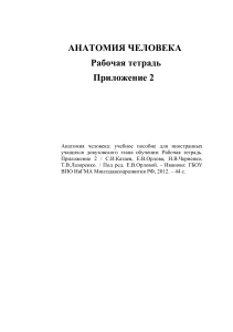 Анатомия человека: Рабочая тетрадь для студентов