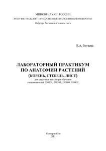 Анатомия растений: Лабораторный практикум для студентов