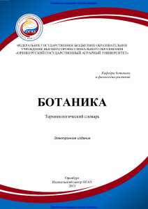 Ботаника: Терминологический словарь для студентов