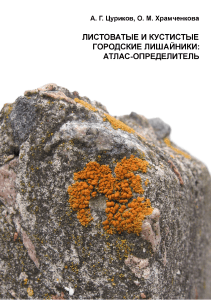 Листоватые и кустистые лишайники: атлас-определитель