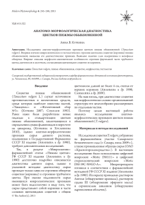 Анатомия цветков пижмы обыкновенной: диагностика
