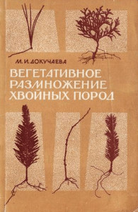Vegetative Propagation of Conifers