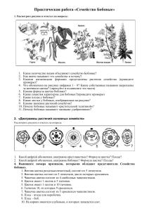 Семейство Бобовые: Практическая работа по ботанике