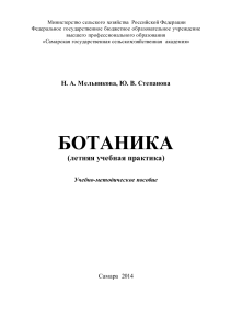 Ботаника: Летняя учебная практика. Учебно-методическое пособие
