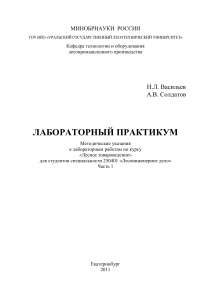 ЛАБОРАТОРНЫЙ ПРАКТИКУМ Н.Л. Васильев А.В. Солдатов МИНОБРНАУКИ  РОССИИ